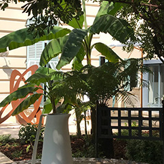 garden casa musa nice garden casa musa nice