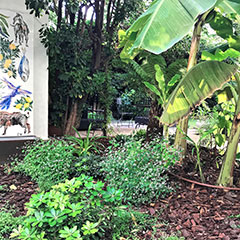 Suite Mediterranee Casa Musa Nice Suite Mediterranee Casa Musa Nice